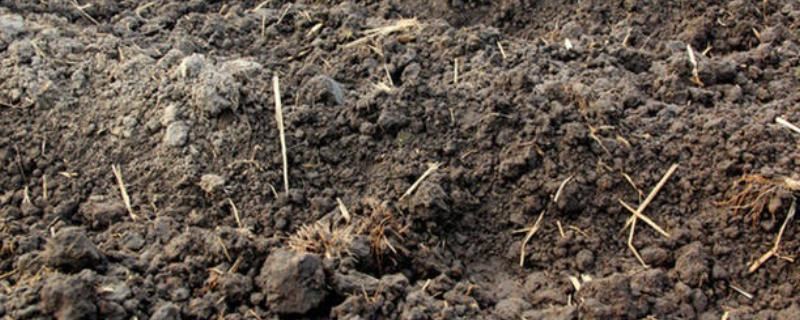 怎么改良酸性土壤，使用农家肥、使用石灰可以起到改良效果