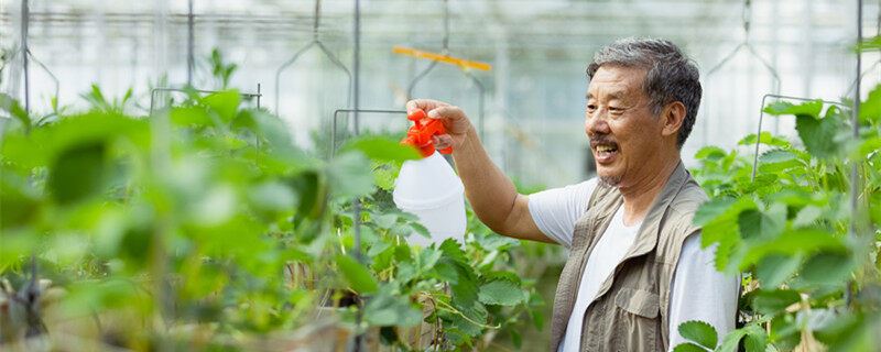 花多多肥料使用方法