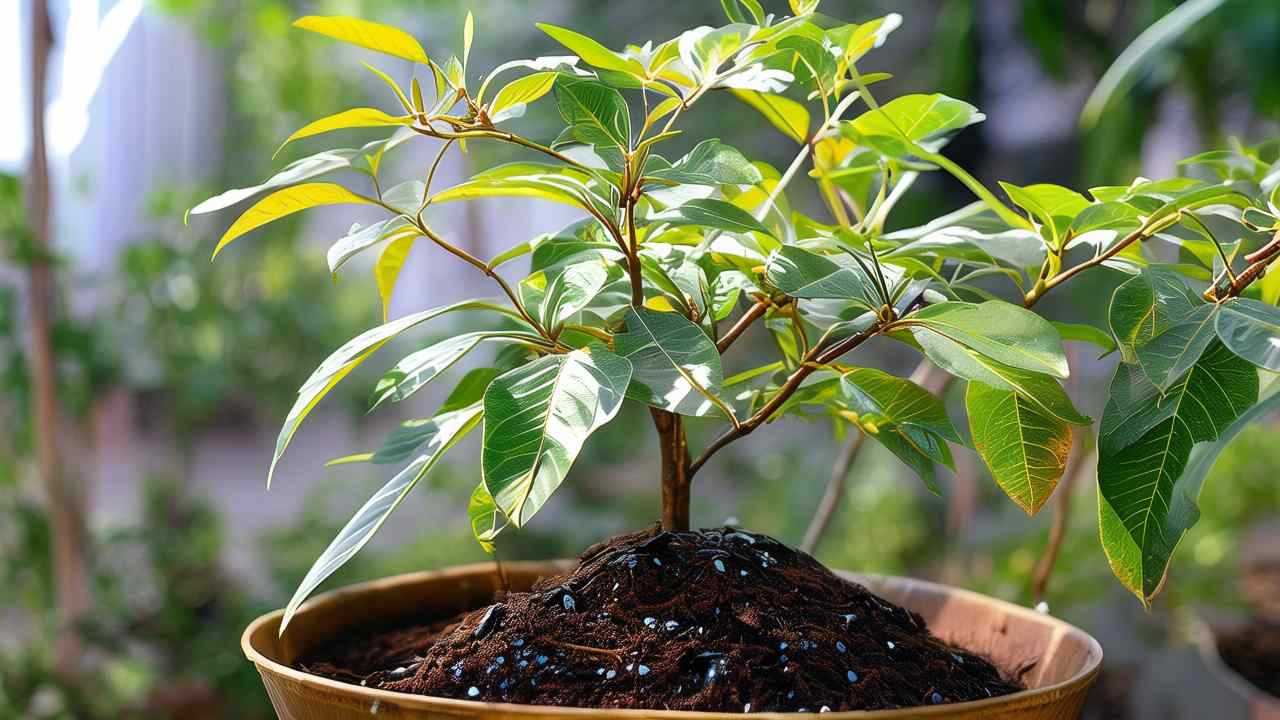 不同季节大闸蟹口感差异